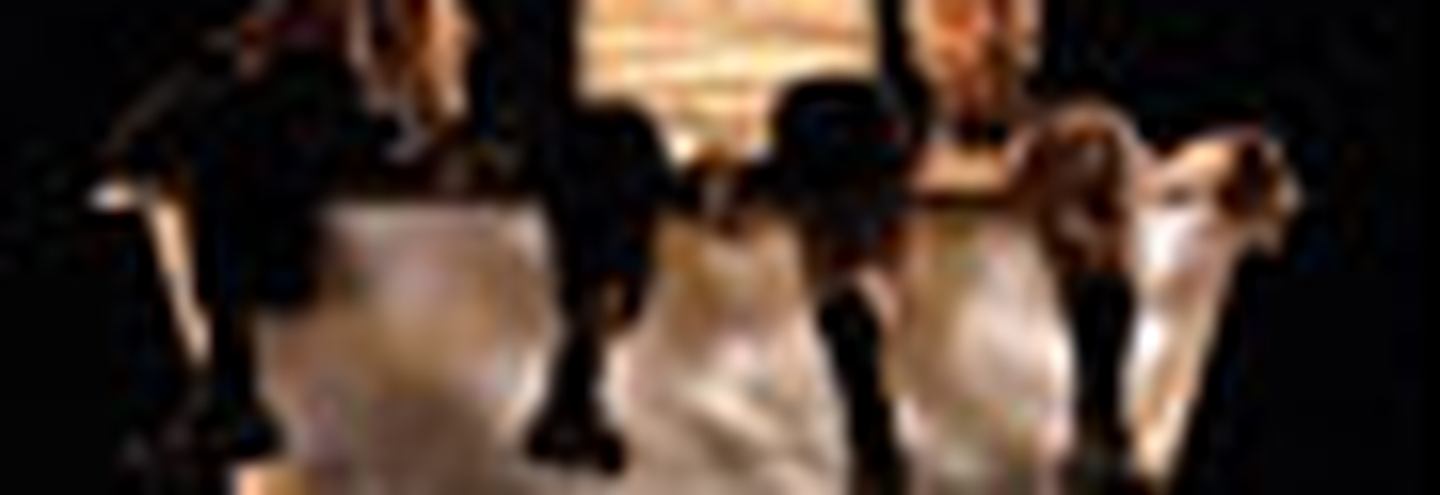 Чемоданы Тульса Люпера. Часть 1:  Моабская история