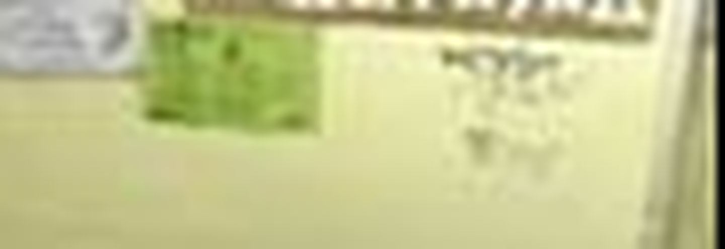 Арт-Буфет на Пушкинской 10