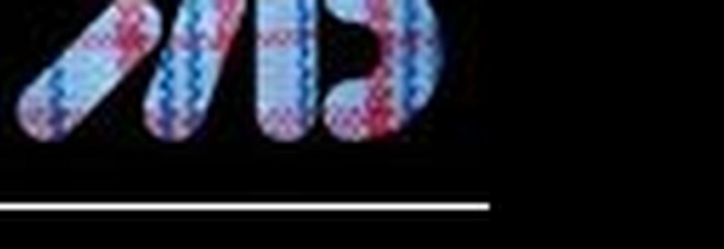 Модный десант