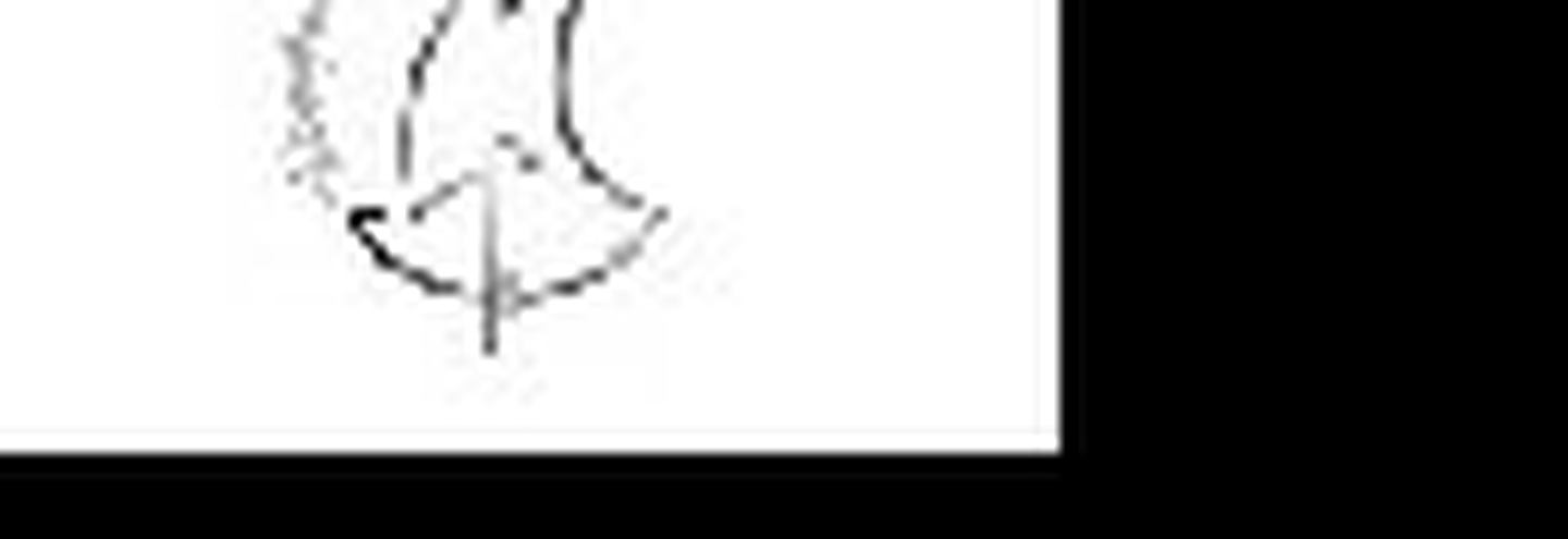 Программа XII Международного конкурса «Адмиралтейская Игла»