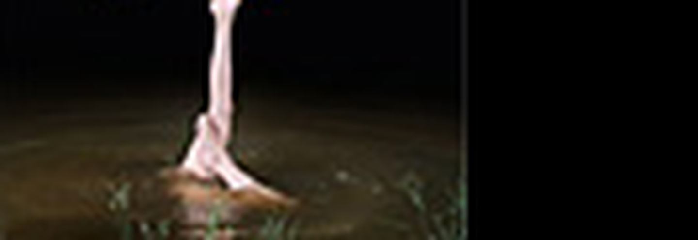 Henrik Vibskov и коляски