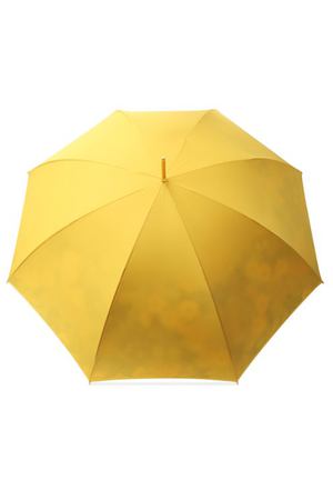 Зонт-трость Pasotti Ombrelli