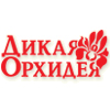 Магазин Дикая Орхидея