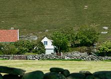  Getty Images и Flickr позаботятся о фотографах