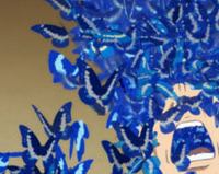 Тенденции моды: синий цвет 