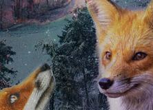 Новый сезон в Петербурге