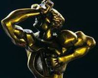 Тэфи-2010 в Петербурге 