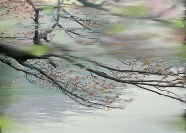 Выставка Сандры Кан­танен "Landscapes"