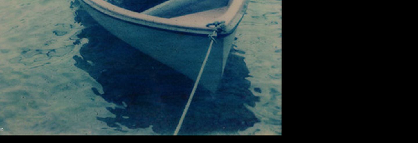 Polaroid будет жить