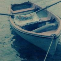 Polaroid будет жить 