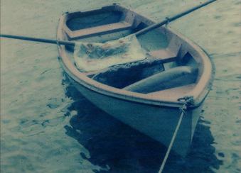  Polaroid будет жить