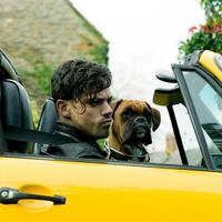 Кино на неделю: 22-28 ноября 