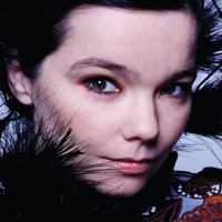 Бьорк в трибьюте Александру Маккуину