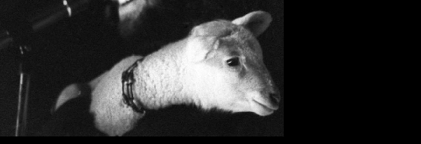 Джим Моррисон оправдан спустя 40 лет