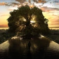 Питт и Пенн сидели на дереве