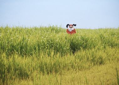 Побег из виртуальности