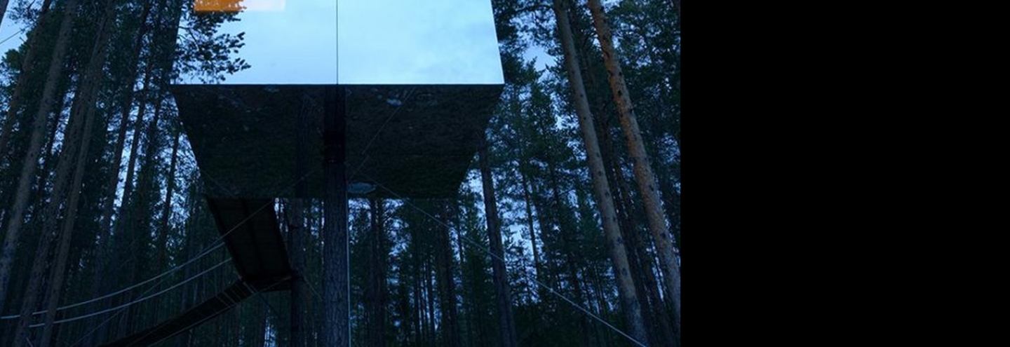 Отель на дереве