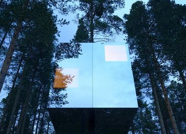  Отель на дереве