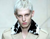 Burberry - плагиат на Prada?