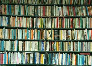  В Петербурге будет свой "Фаланстер"