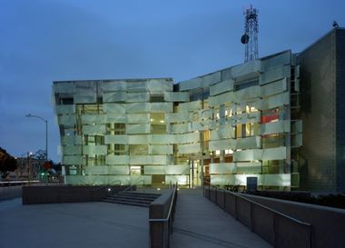  Психоделическая полиция