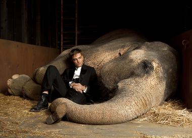  Новые трейлеры: Кот в сапогах, Воды слонам, Быстрая пятерка