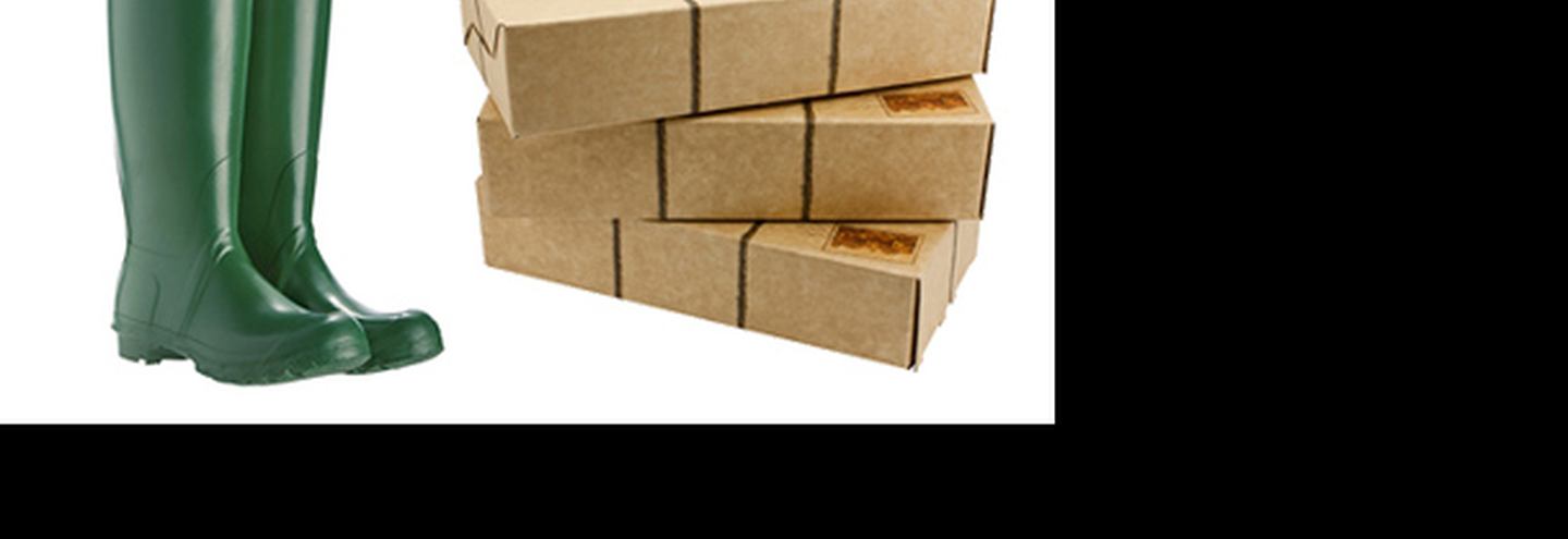 Резиновые сапоги через Интернет