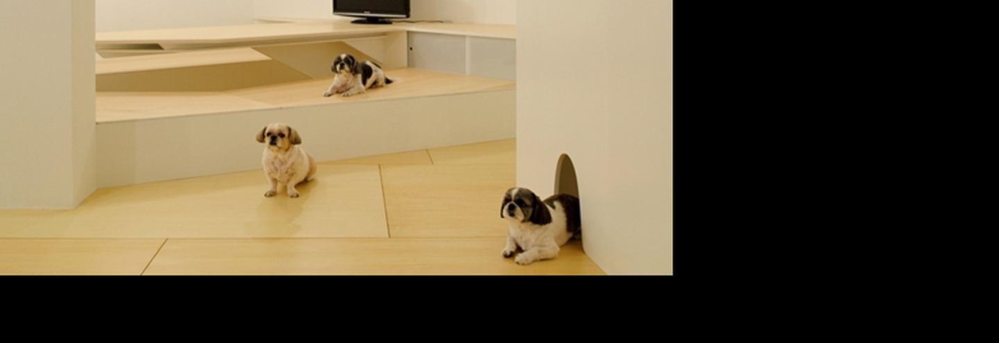 Архитектура и животные