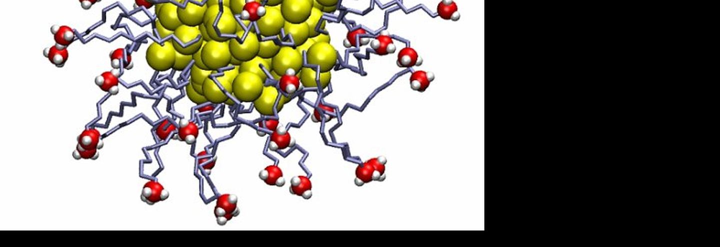 Митьки и нанотехнологии