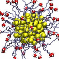 Митьки и нанотехнологии 