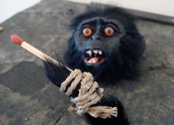 Смерть, пытки и вивисекция в жизни животных