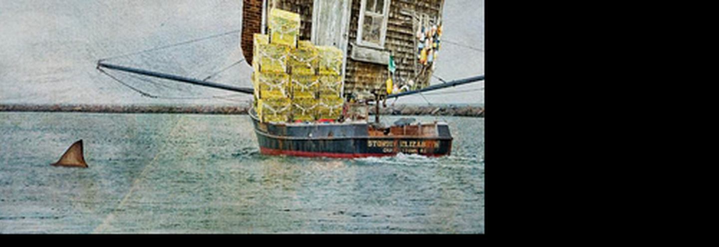 Чрезвычайная ситуация: лето