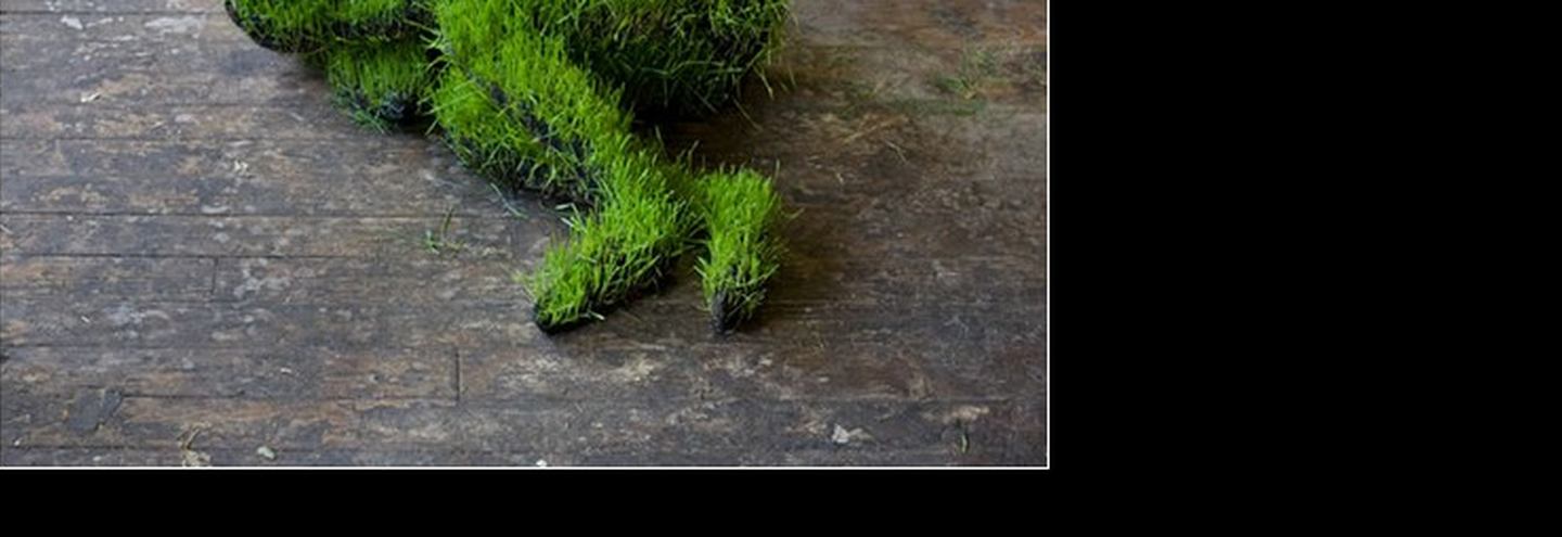 Искусство, которое растет