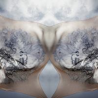Платки Alexander McQueen