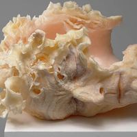 "изящное" разложение 