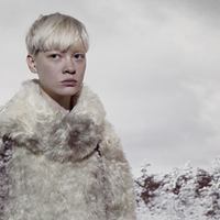 Шубы из искусственного меха 