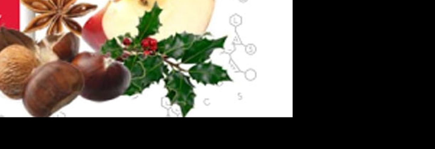 Новогоднее предложение от  Leonid Alexeev Concept Space