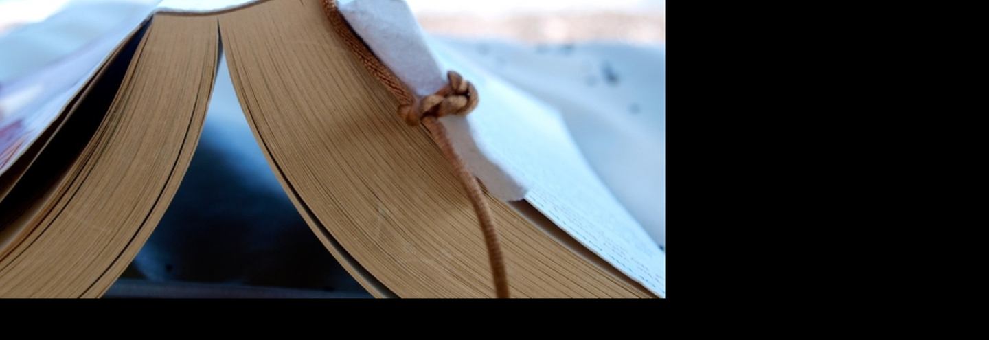 Новогодний обмен книгами в Петербурге