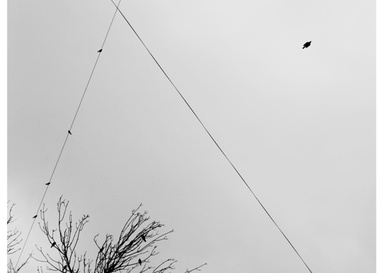 Максим Ксута "Небографика"