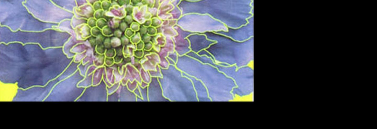 «ТВОЕ» и Константин Гайдай: яркие идеи новой коллекции