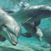 Модная жизнь: 30 марта - 1 апреля