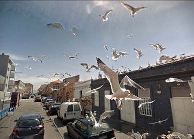 Джон Рафман "Девять глаз Google Street View"