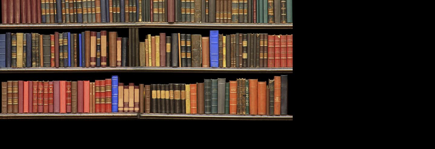 Всероссийская библионочь