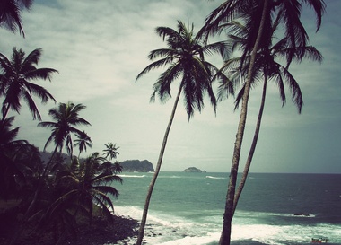 Moscow - Barcelona Connection