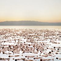 Спенсер Туник разденет тысячу мюнхенцев 