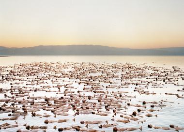  Спенсер Туник разденет тысячу мюнхенцев
