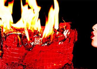  Birkin нужно сжечь