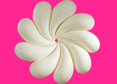 Так что же делает нас такими особенными, такими привлекательными?