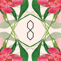 8-store на Дворцовой отмечает День Рождения