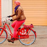 Бесплатные велопрокаты в московских парках